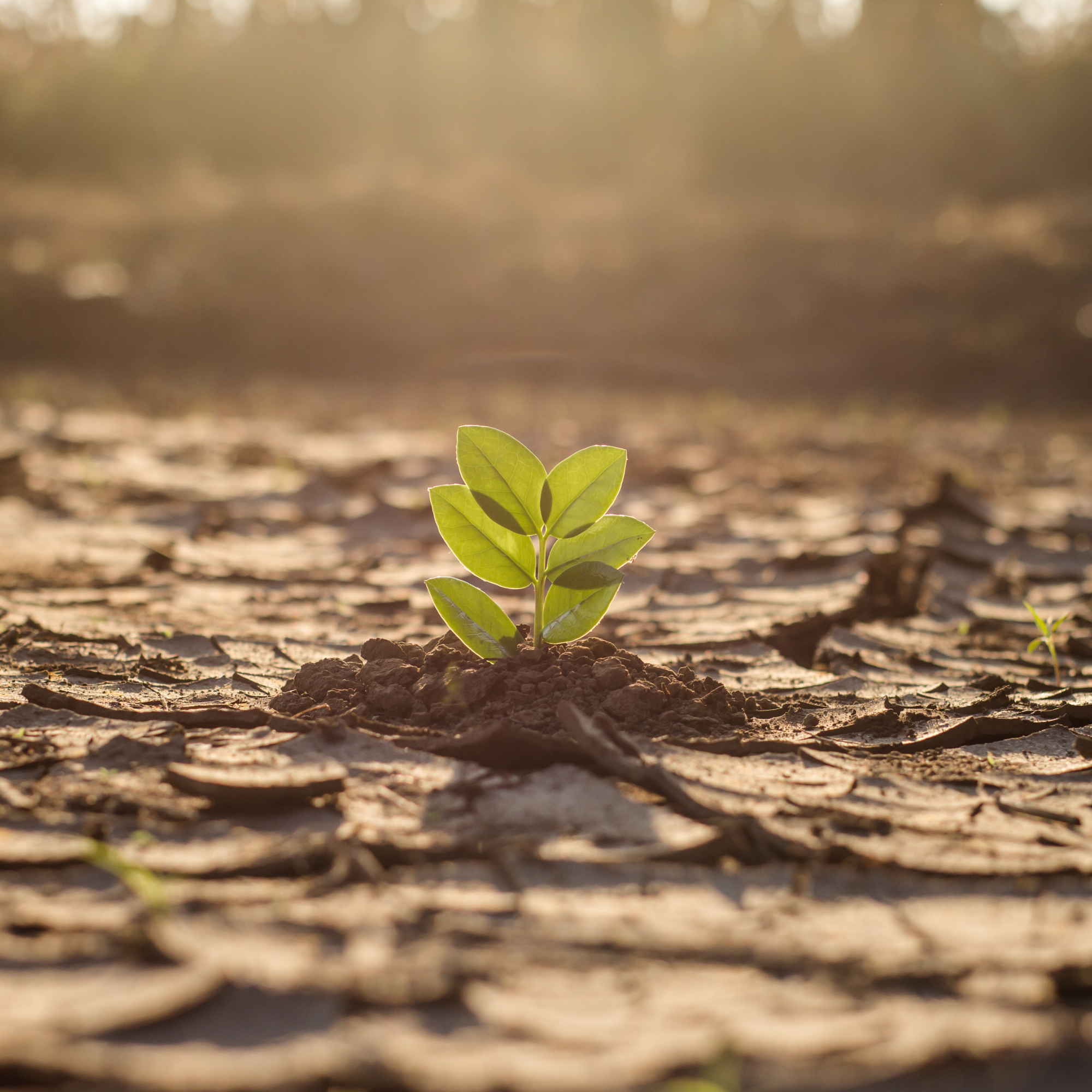 Pattern Breakers – What about Life Sciences?